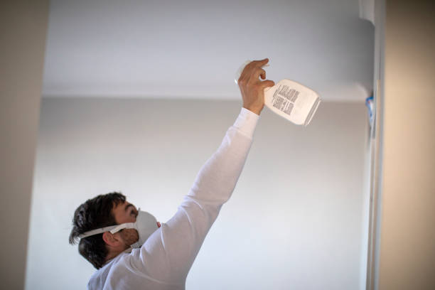 Best Toxic Mold Removal  in Los Alamitos, CA